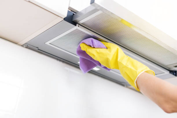 Best Ductwork Cleaning Services  in Brownlee Park, MI